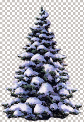 SnowCoveredTree EGS 12.20.02.jpg