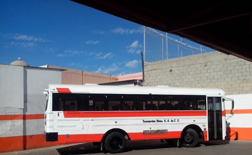 Transportes Brisa, 22800, Cuarta y o Mutualismo 753, Zona Centro, Ensenada, B.C., México, Servicio de transporte | BC