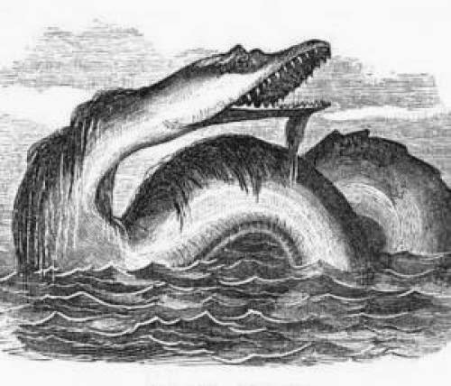 1855 Nova Scotia Sea Serpent Sighting