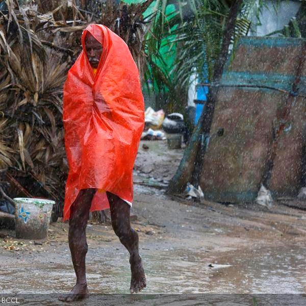 Though seven deaths have been reported in Odisha, they took place as uprooted trees fell on locals before the cyclone made a landfall, Odisha revenue and disaster minister S N Patro said in Bhubaneshwar. 