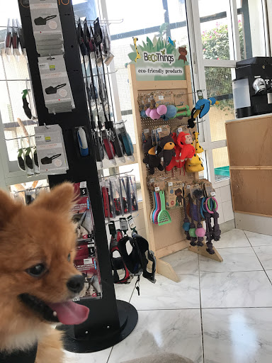 Umm Suqeim Veterinary Centre 24 Hour Hospital Dubai 971 4 348 3799