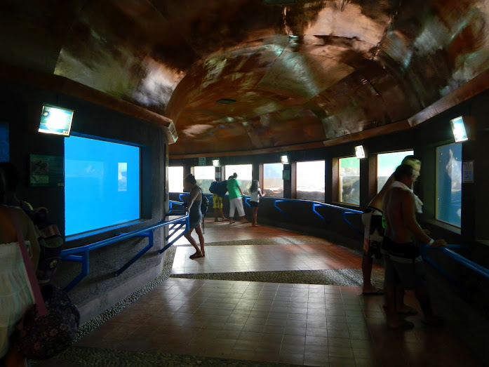 Mazunte, National Turtle Center aquarium