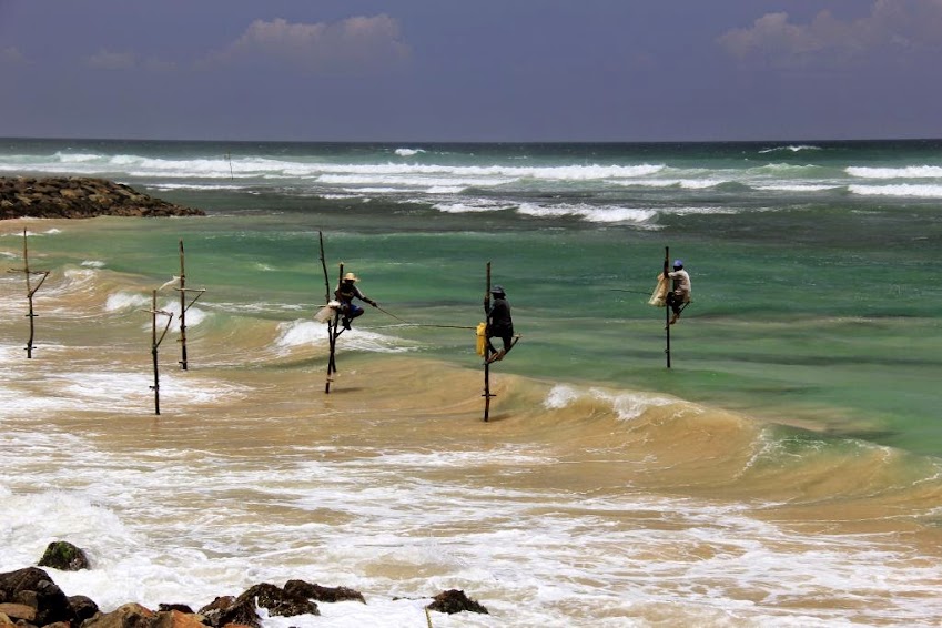 Веб камеры шри ланка. Галле Шри Ланка рыбаки. Велигама Шри Ланка рыбаки. Шри Ланка рыбаки на шестах. Черепаший пляж Шри Ланка.