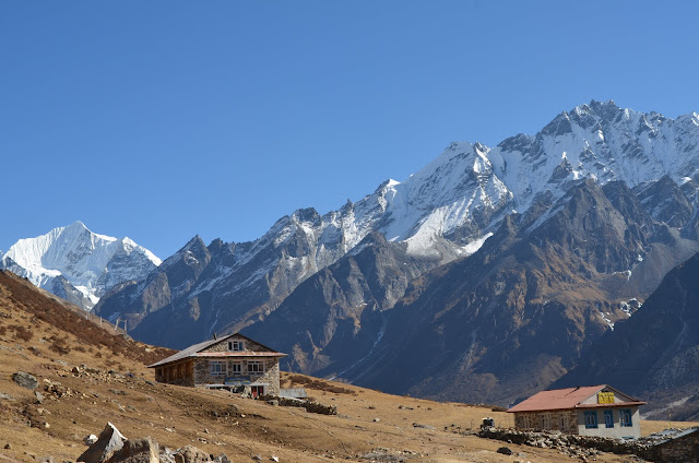 Непал: Зачем преследовать яков или Наше путешествие в Лантанг