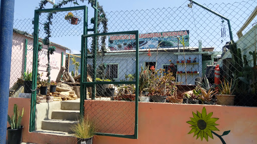 Servicios De Jardinería Ensenada, Av. Diamante 748, Ampliacion Buenaventura, 22880 Ensenada, B.C., México, Servicio de jardinería | BC