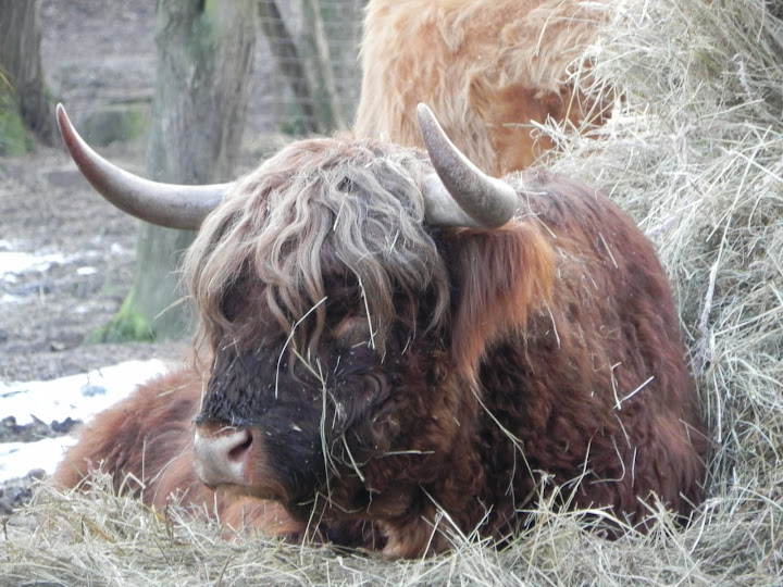 DSCN0178.JPG