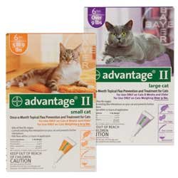  Advantage II for Cats (Over 9 lbs- 6 Pack)