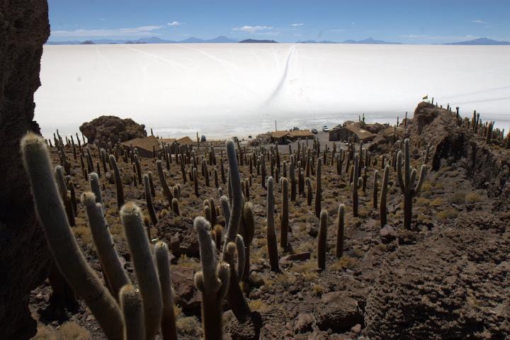 Ветер в кактусах: отчет о поездке Перу - Боливия