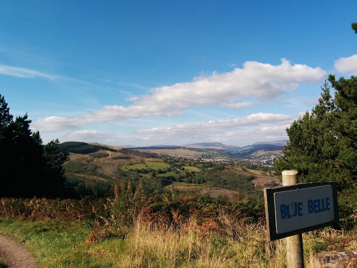 BikePark Wales