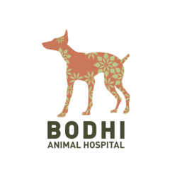 Bodhi Animal Hospital, A Thrive Pet Healthcare Partner logo