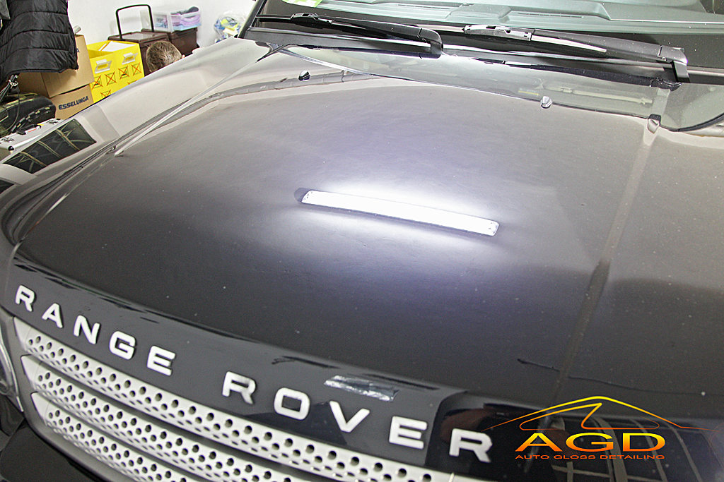  AGDetailing - La Maratoneta (Range Rover Sport HSE) B84C1877