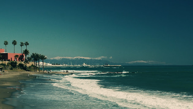 Cover photo