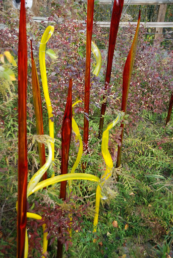 Chihuly. From Fall Color Weekend Getaway: Meijer Gardens & Sculpture Park