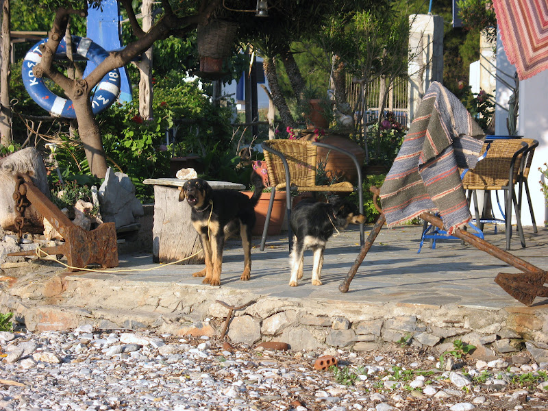 Tour to Skyros Island - Greece IMG_1441