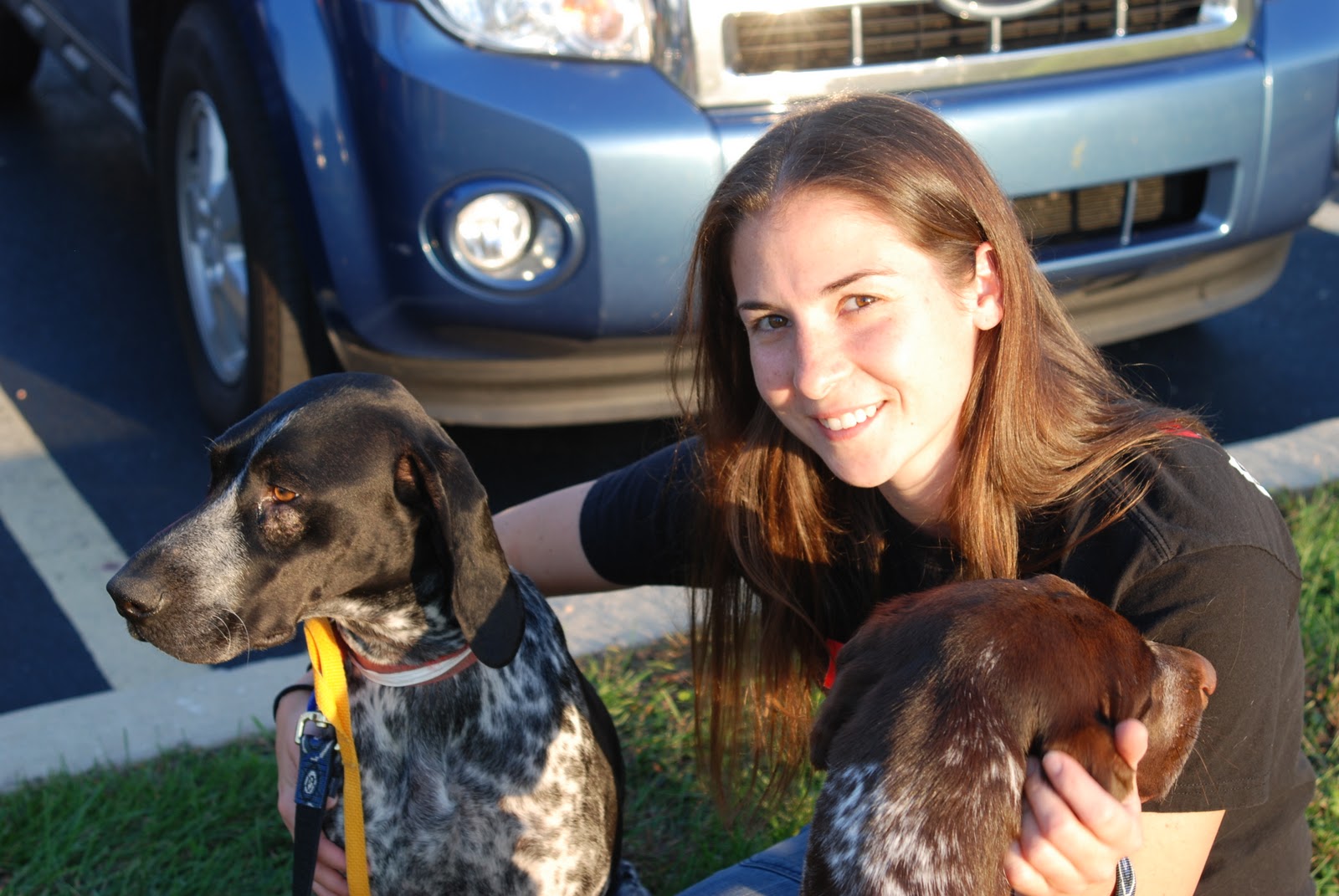 Adventures of a GSP Hunting Dog Rescue Me