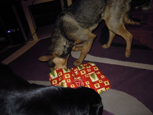 DSCN1372.JPG