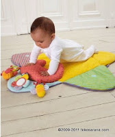 Early Learning Centre Blossom Farm Sit Me up Cosy Deluxe