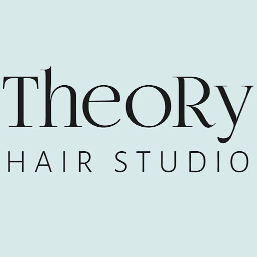 Theory Hair Studio logo