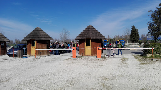 Safari Ravenna