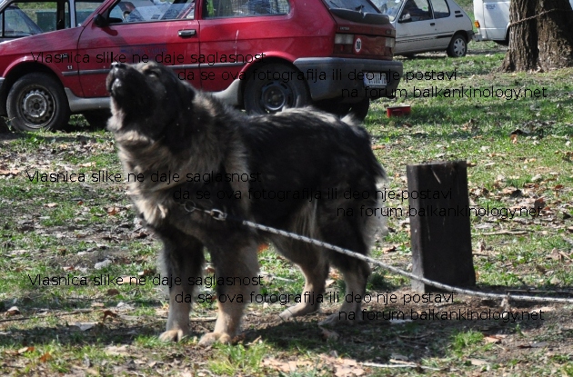 DSC_0265w.JPG