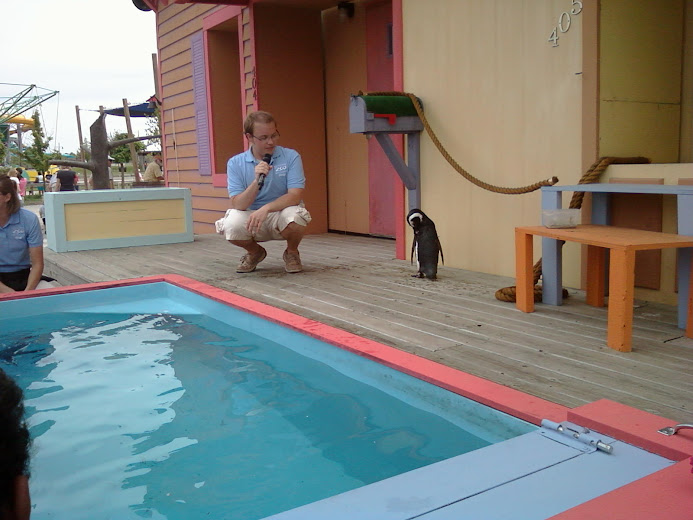 Penguin on stage Columbus Zoo