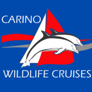 Carino Wildlife Cruises logo