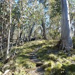 Track winding up the side of the gully (297380)