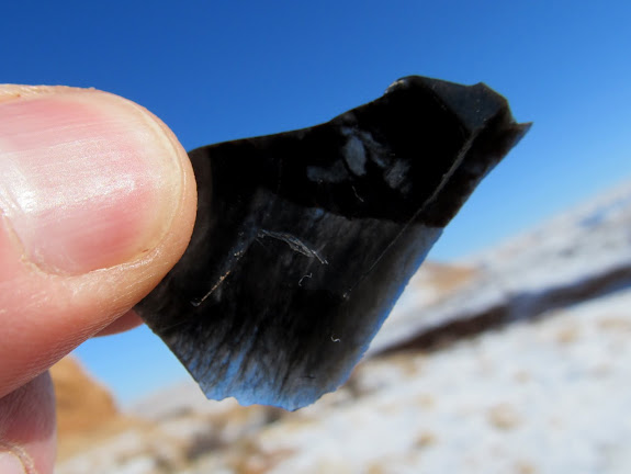 Obsidian flake found on the ground. Very interesting considering that the nearest naturally-occurring obsidian is 150 miles away.