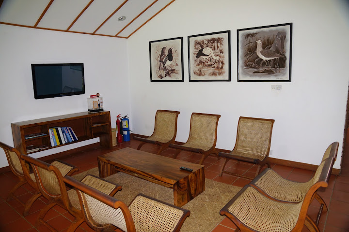 Шри-Ланка: на машине 1 100 км,  фото без комментариев, март-апрель 2013г.