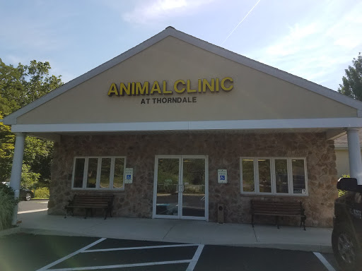 Veterinarian «Animal Clinic at Thorndale, p.c.», reviews and photos