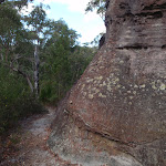 Beside large rock (178902)