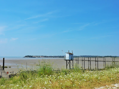 http://www.frenchvillagediaries.com Silent Sunday French Village Diaries Charente-Maritime photos