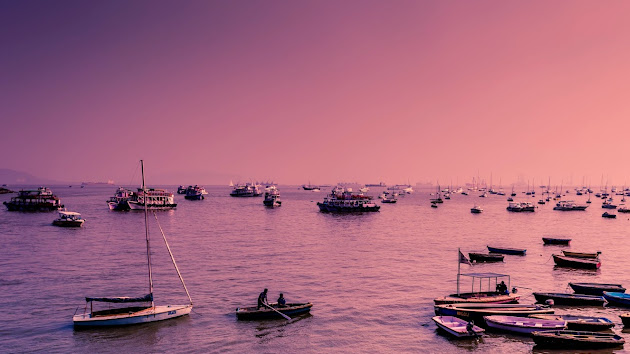 Cover photo