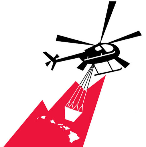 Airborne Aviation logo