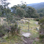 Bull Creek bridge  (296312)