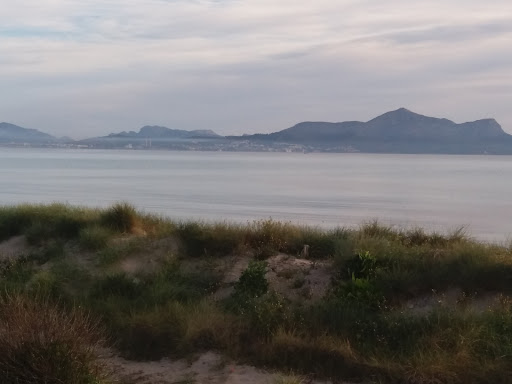 Playa De Muro