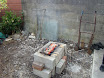 DSC01196.JPG