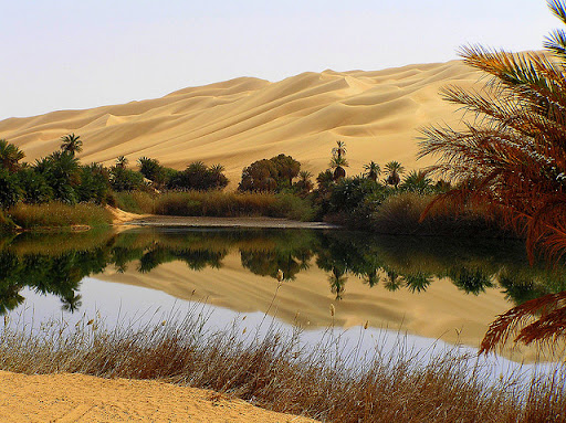15 Amazing 

Examples of Desert Landscape Photography 