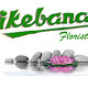 Ikebana Florist Valladolid