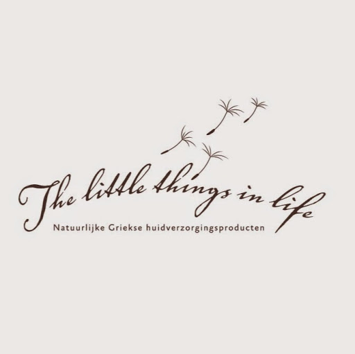 The little things in life logo