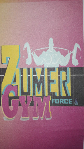 Zumer Gym, General Vicente Guerrero 129, Martín Carrera, 07070 Ciudad de México, CDMX, México, Gimnasio | ZAC