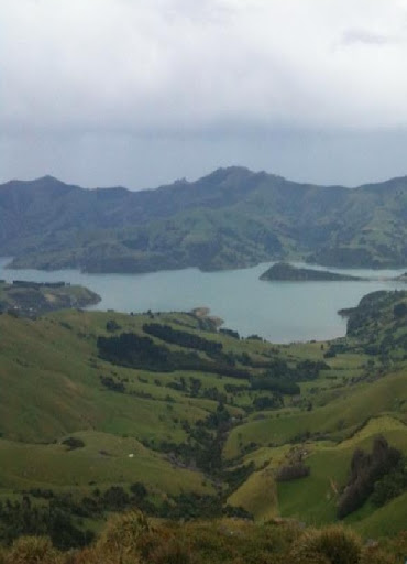 Akaroa viewpoint