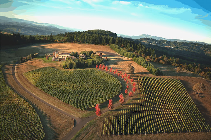 aerial%2520shot The Ultimate Oregon Wine Country Experience