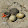 Island Parks Island Parks's profile photo