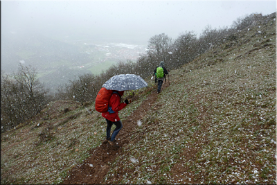 Sigue nevando Sigue nevando