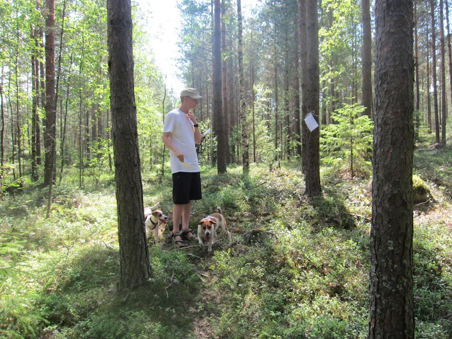 Luontopolku