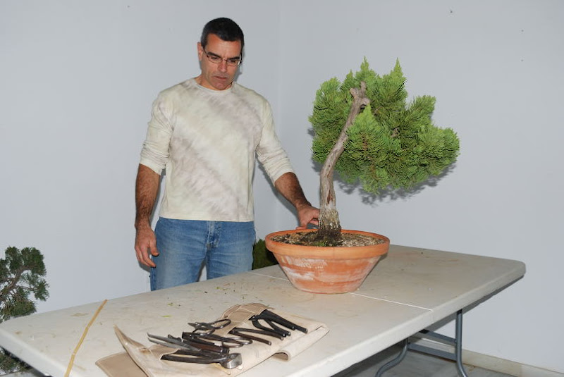 XI Exposición Invernal de bonsai de la A.S.B. Chokkan 113%252520XI%252520Exp.Inv.%252520ASBC%25252020111202%252520061