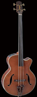 Takamine Fretless Electro-Acoustic Bass