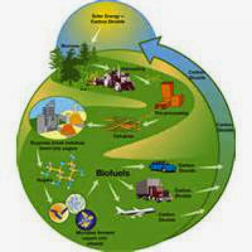 Algae Biodiesel Company World Health Energy Holdings Inc