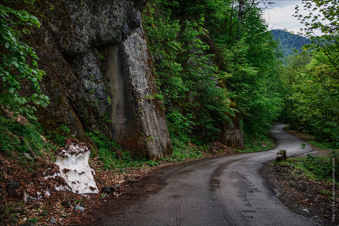 Дорога на озеро рица. Дорога на озеро Рица Абхазия. Дорога к озеру Рица серпантин. Дорога на Рицу Абхазия. Туннель на озеро Рица.